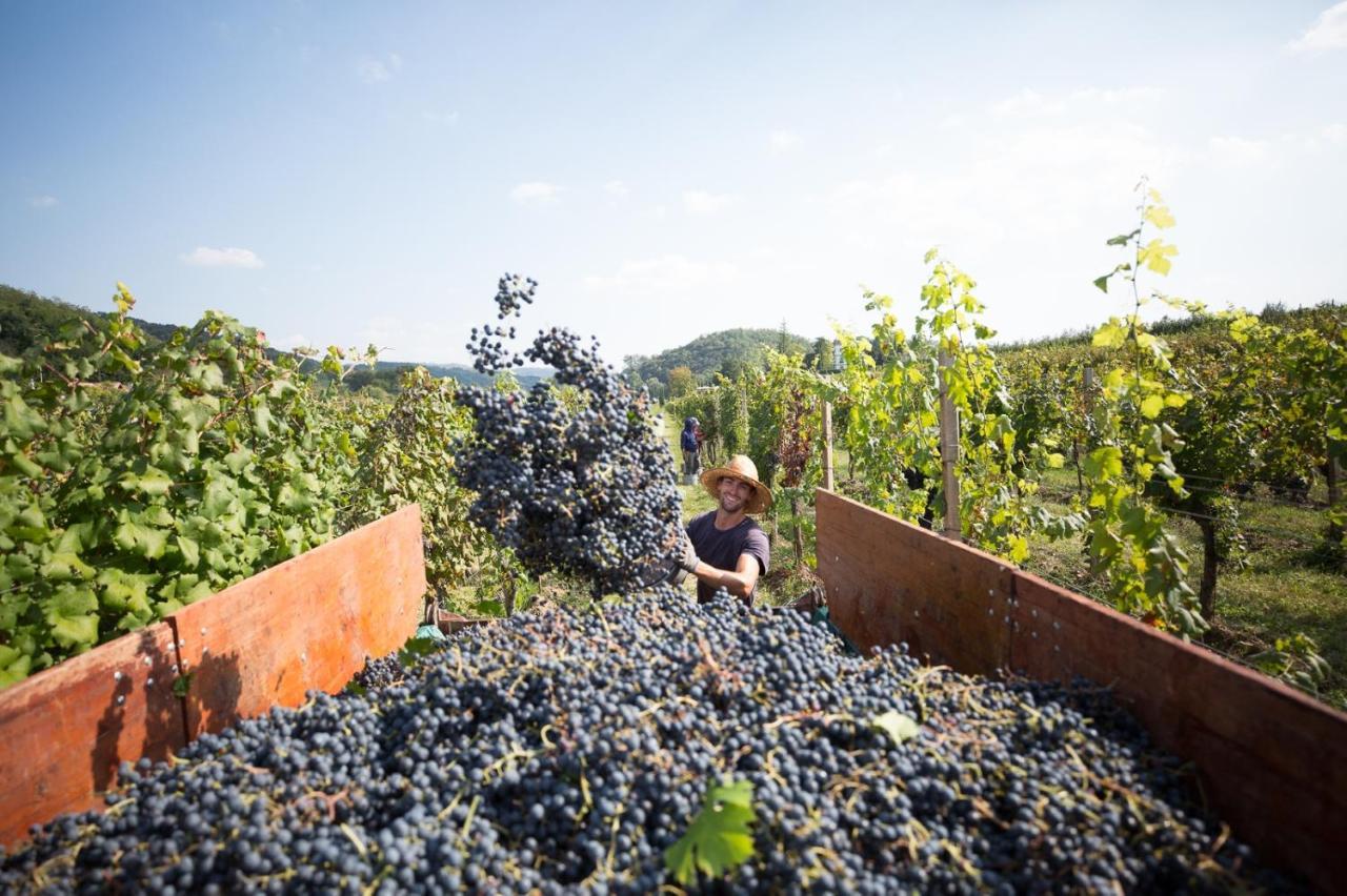 Il Roncal Wine Resort - For Wine Lovers Cividale Del Friuli Bagian luar foto