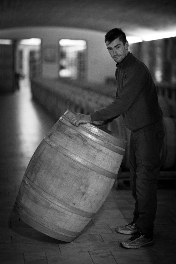 Il Roncal Wine Resort - For Wine Lovers Cividale Del Friuli Bagian luar foto