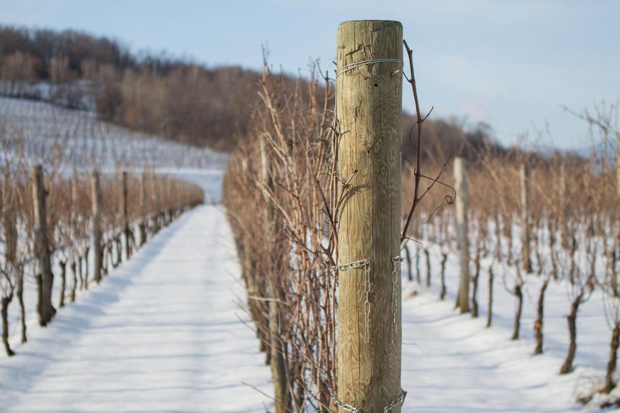 Il Roncal Wine Resort - For Wine Lovers Cividale Del Friuli Bagian luar foto