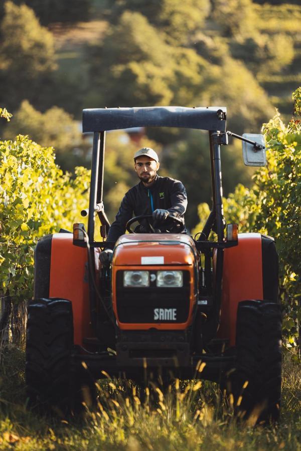 Il Roncal Wine Resort - For Wine Lovers Cividale Del Friuli Bagian luar foto