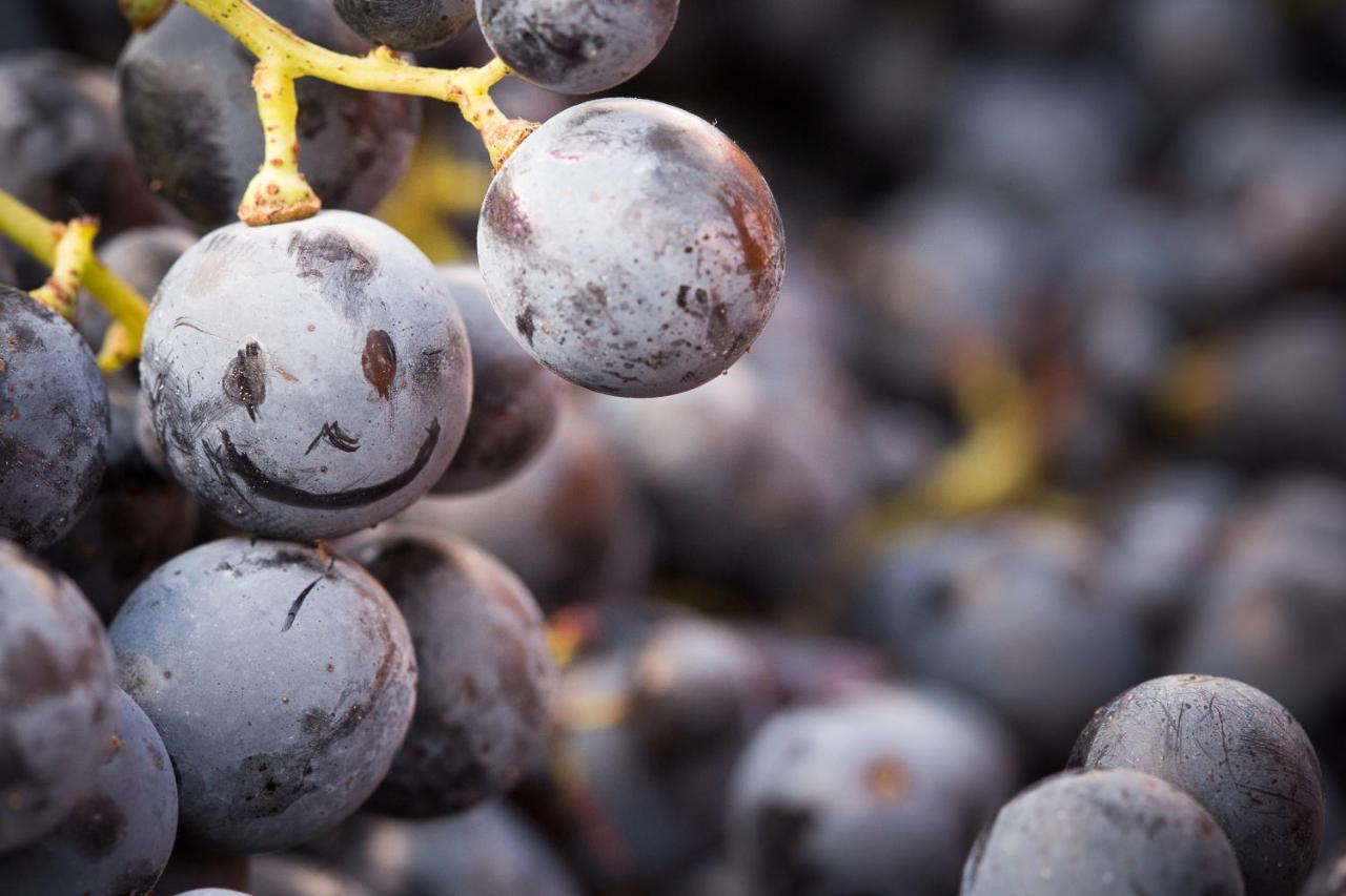 Il Roncal Wine Resort - For Wine Lovers Cividale Del Friuli Bagian luar foto
