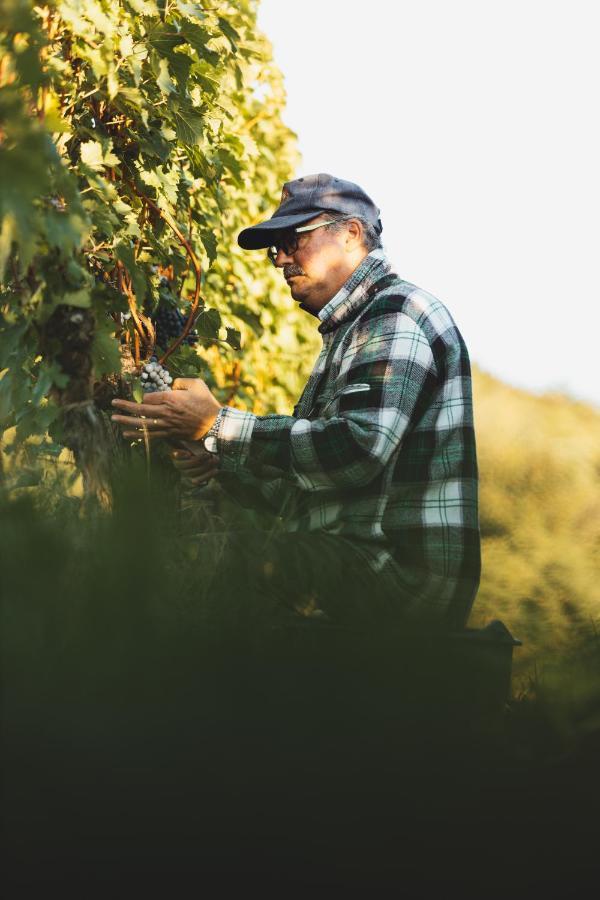 Il Roncal Wine Resort - For Wine Lovers Cividale Del Friuli Bagian luar foto
