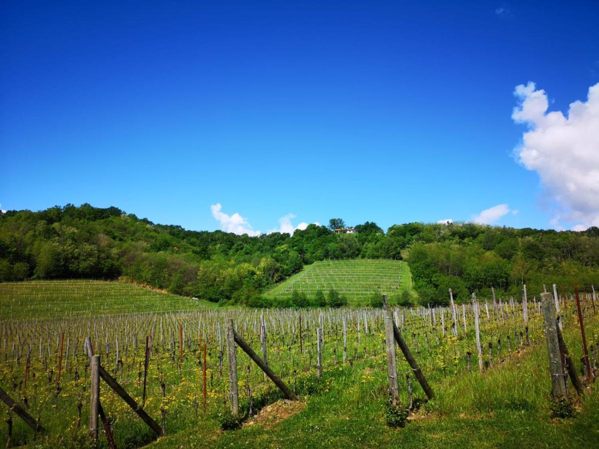 Il Roncal Wine Resort - For Wine Lovers Cividale Del Friuli Bagian luar foto