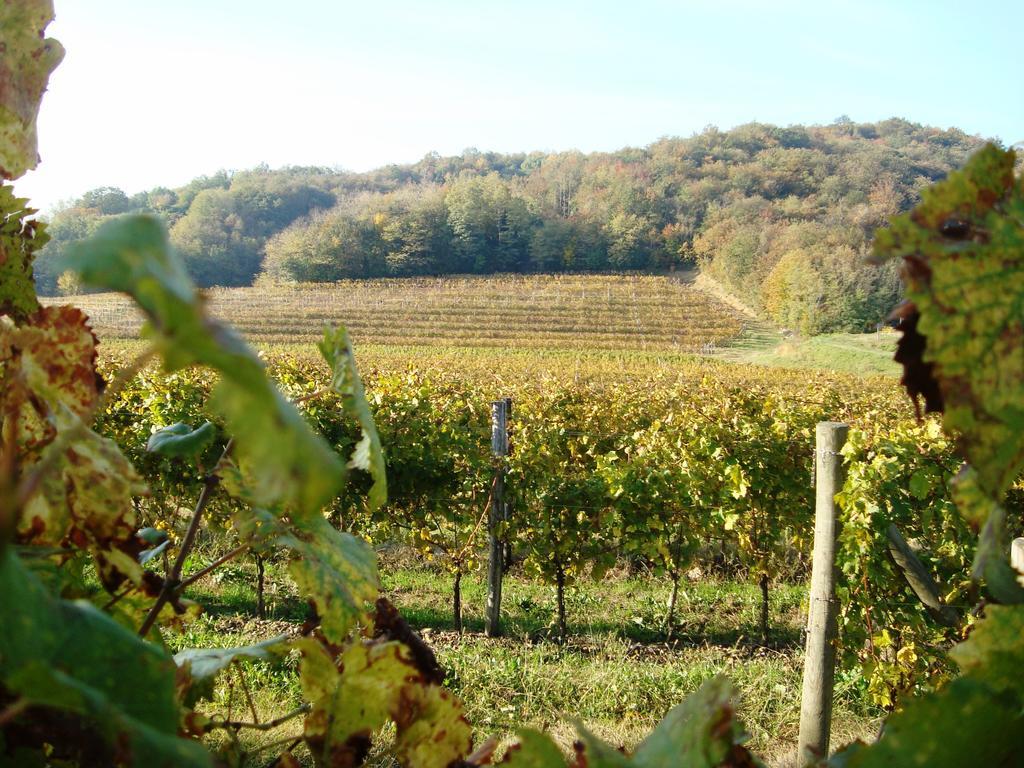 Il Roncal Wine Resort - For Wine Lovers Cividale Del Friuli Bagian luar foto