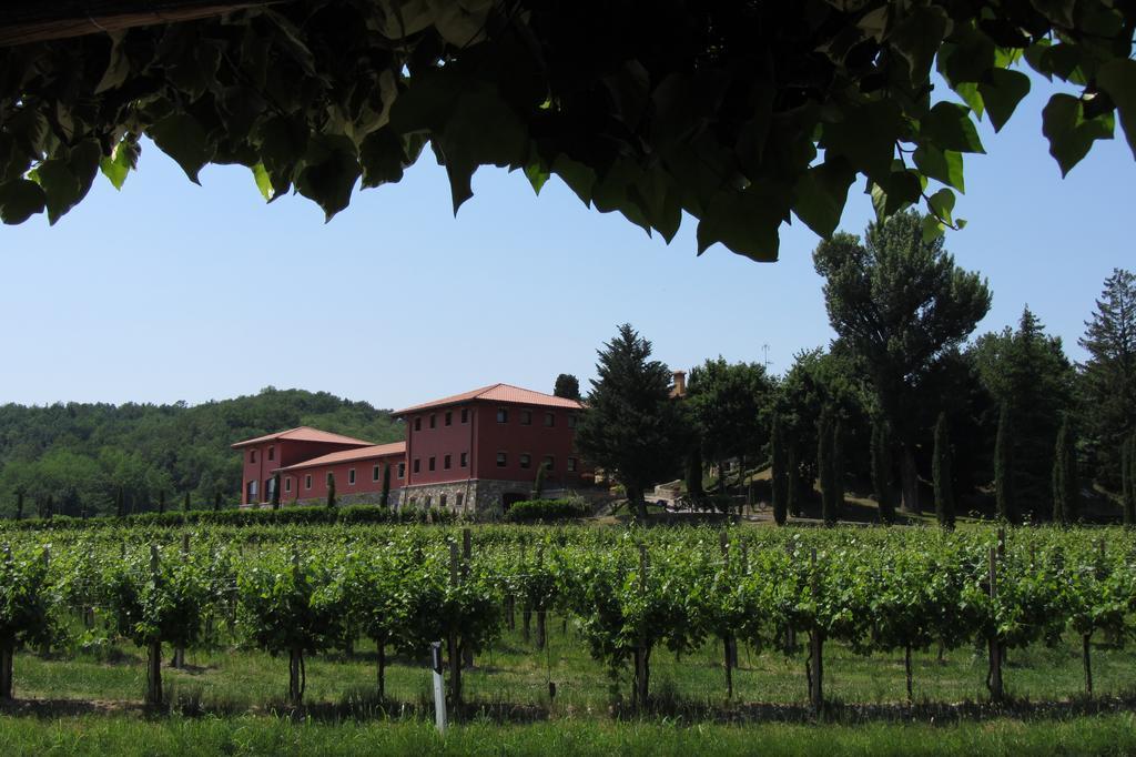 Il Roncal Wine Resort - For Wine Lovers Cividale Del Friuli Bagian luar foto