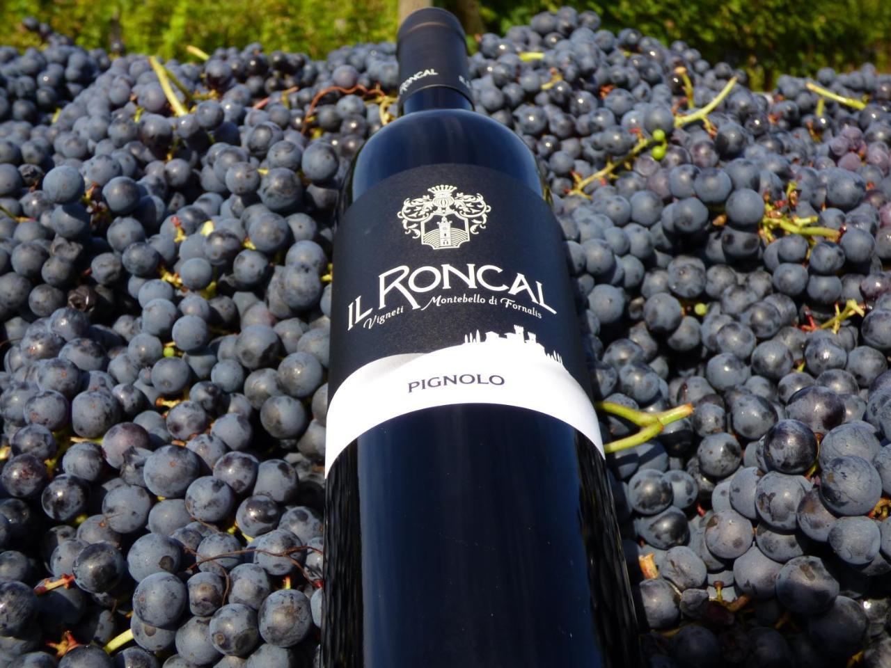 Il Roncal Wine Resort - For Wine Lovers Cividale Del Friuli Bagian luar foto