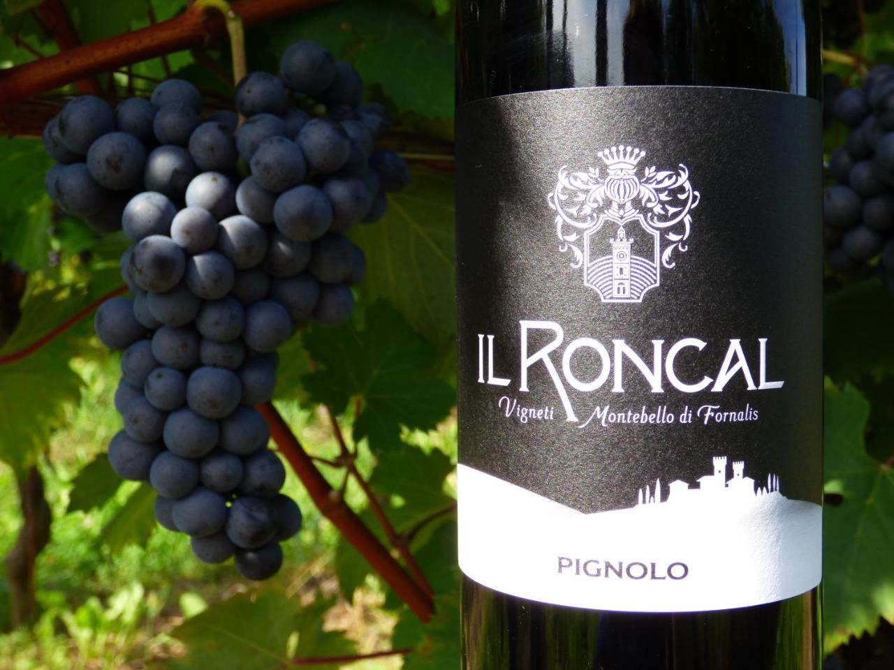 Il Roncal Wine Resort - For Wine Lovers Cividale Del Friuli Bagian luar foto